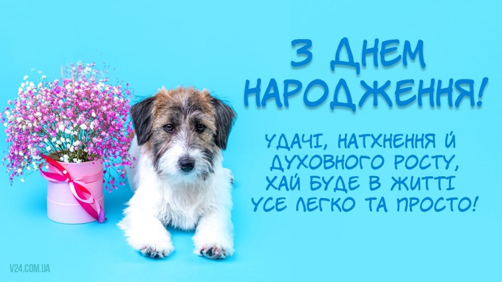 Прикольні та смішні привітання від сестри