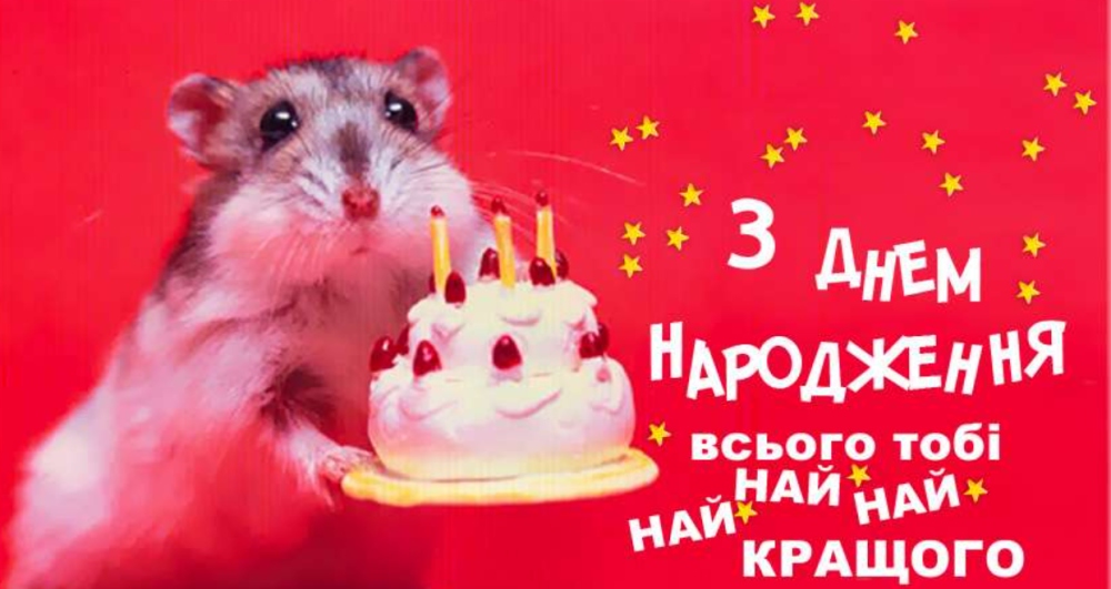 Найкращі привітання з днем народження для однокласника